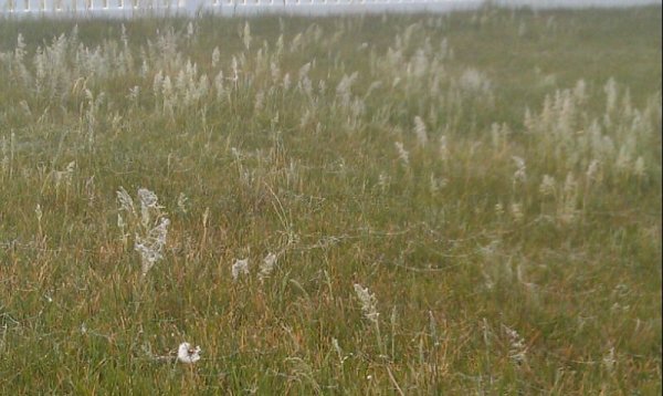 4-1F982DDA-1128407-800