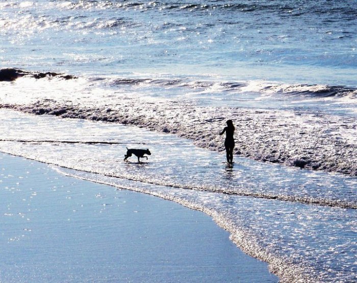 Best pic I ever took - Morning in Stone Harbor, NJ