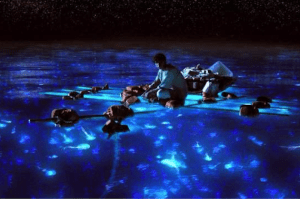 Life-of-Pi-Featurettes