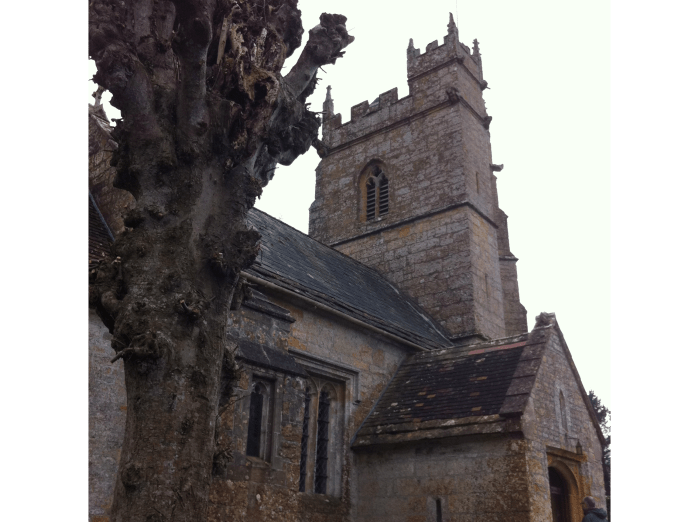 church_and_tree-claire-fuller
