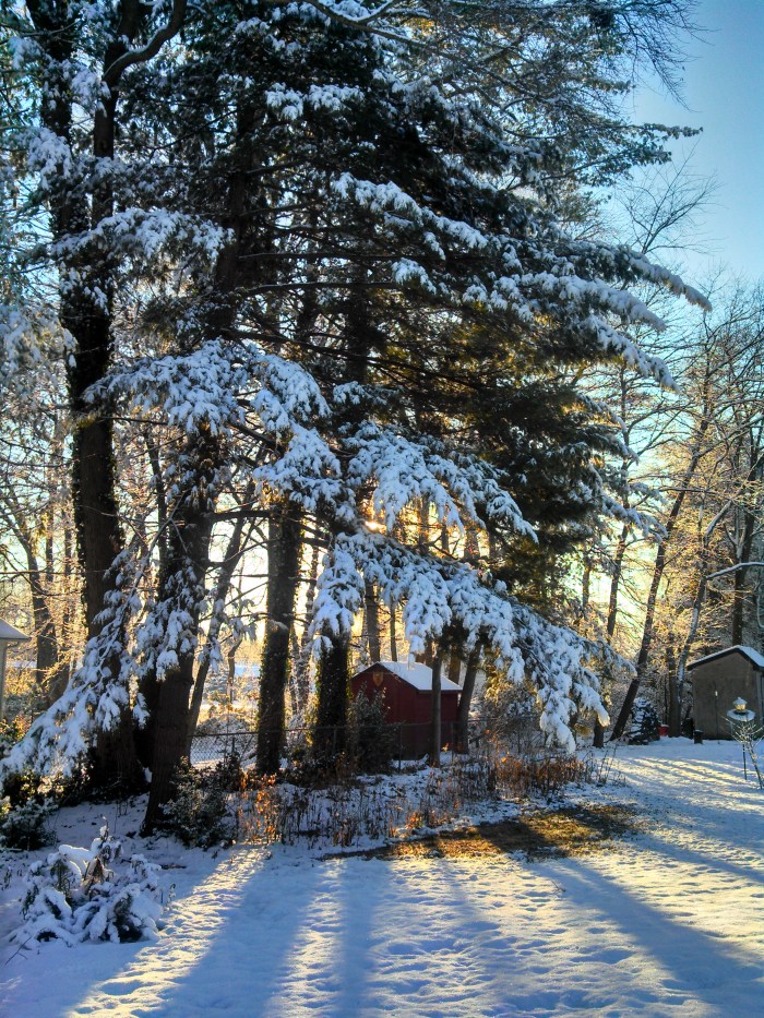 IMG_20131211_081546_822