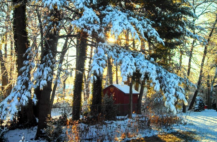 IMG_20131211_081616_728