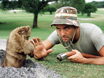 Caddyshack-Murray-gopher_l