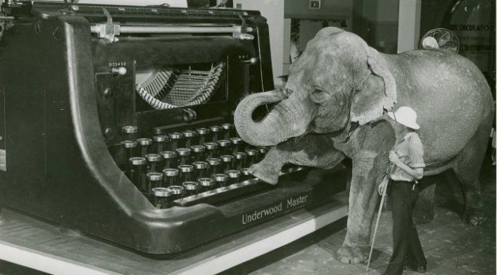 Typewriter-and-Elephant