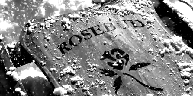 rosebud, citizen kane, christmas, sled