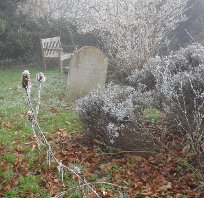 18156961_1425061297555014_8037864223781971403_n